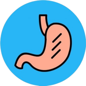Digestive Wellness